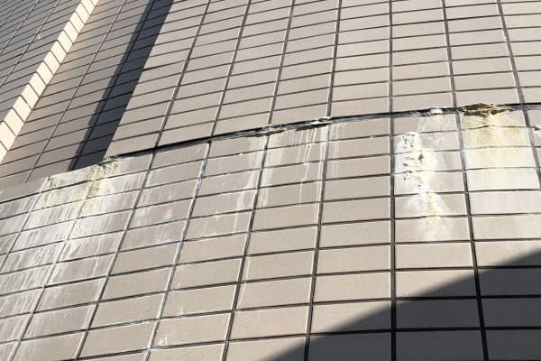 磁器タイルのエフロレッセンス