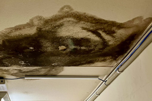 雨漏りの初期症状：クロスのカビ